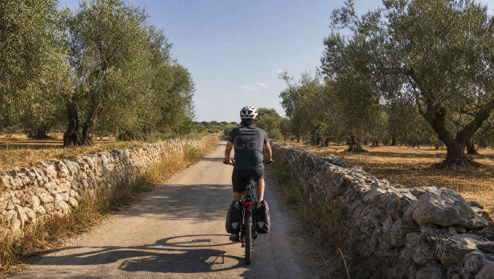 Cicloturista in e-bike lungo una strada di campagna pianeggiante tra muretti a secco e uliveti del basso Salento