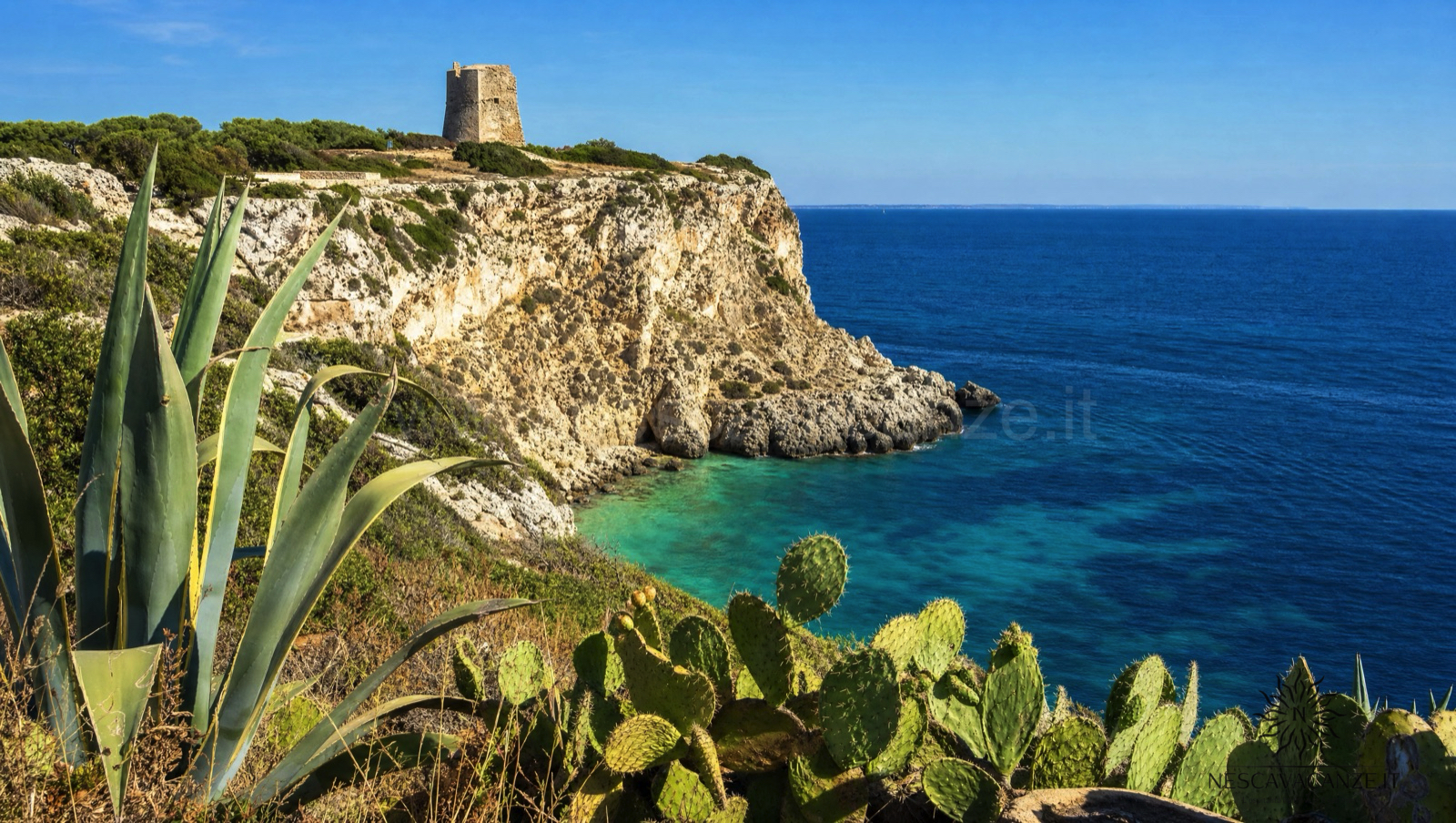 Sentiero sulla costa adriatica del Salento con un'antica torre costiera a picco su una caletta dal mare turchese, tra agavi e fichi d'India