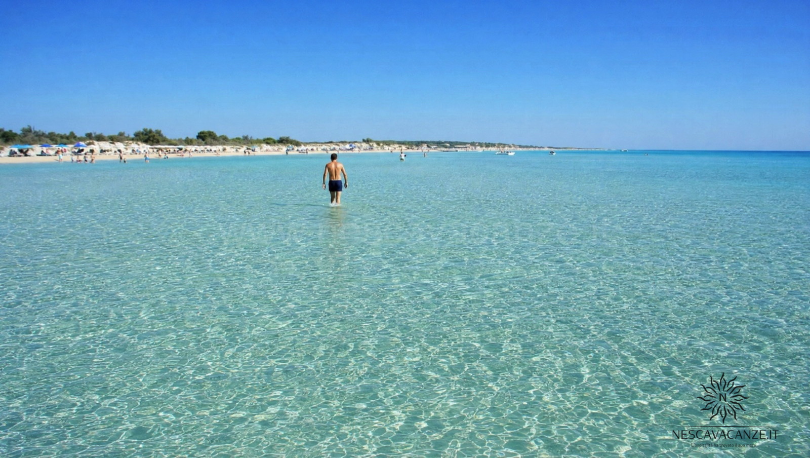 Persona che cammina nell'acqua bassa e turchese di Pescoluse a decine di metri dalla riva