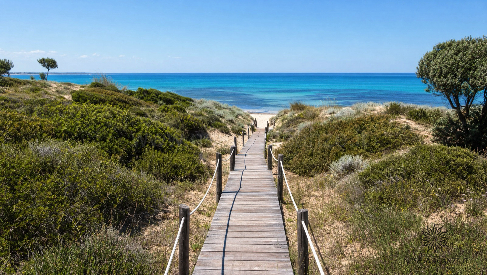 Passerella di legno tra le dune protette ricoperte di macchia mediterranea che conduce al mare turchese di Pescoluse
