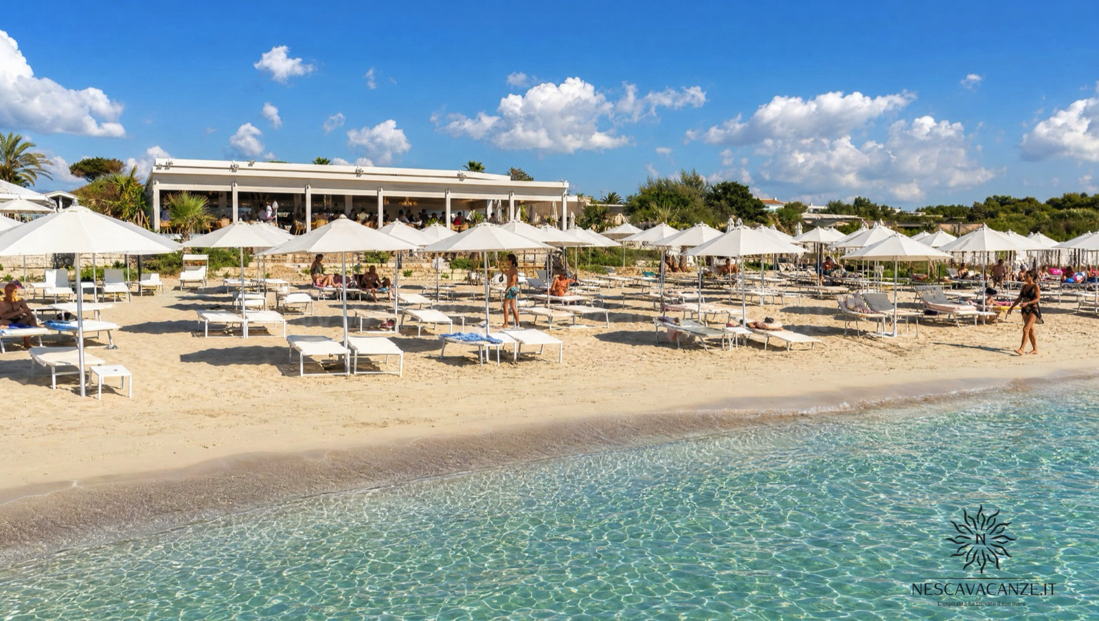Lido attrezzato di Pescoluse con file ordinate di ombrelloni bianchi e lettini sulla sabbia chiara davanti al mare turchese, con il bar sullo sfondo