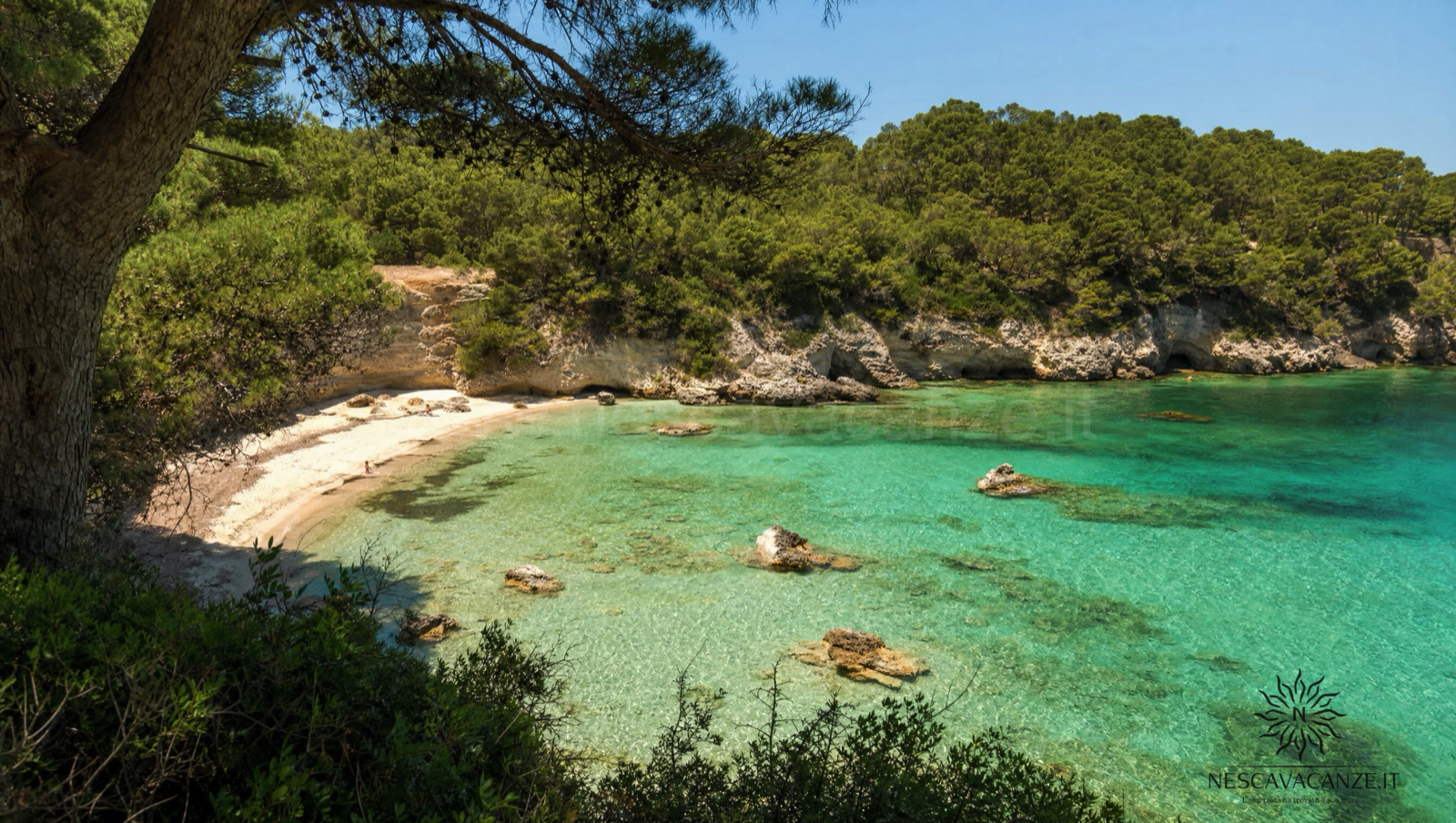 La caletta di Baia dei Turchi vicino a Otranto, con acqua color smeraldo e turchese racchiusa tra la pineta mediterranea e basse scogliere