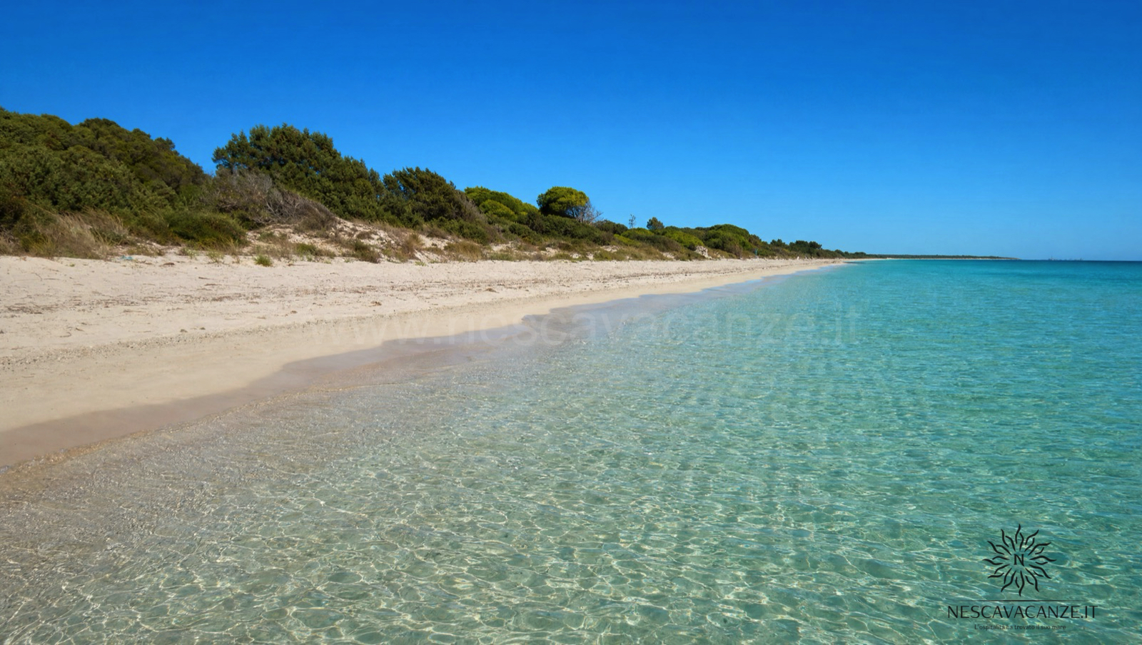 La spiaggia di Punta Prosciutto a Porto Cesareo, lunga distesa di sabbia color crema tra le dune di macchia mediterranea, con acqua bassa e trasparente