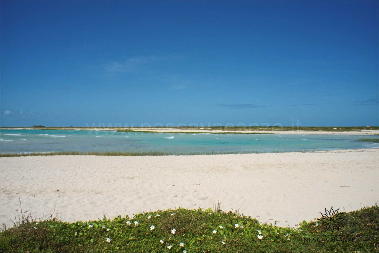 La spiaggia di sabbia bianca e acqua turchese di Pescoluse, le Maldive del Salento