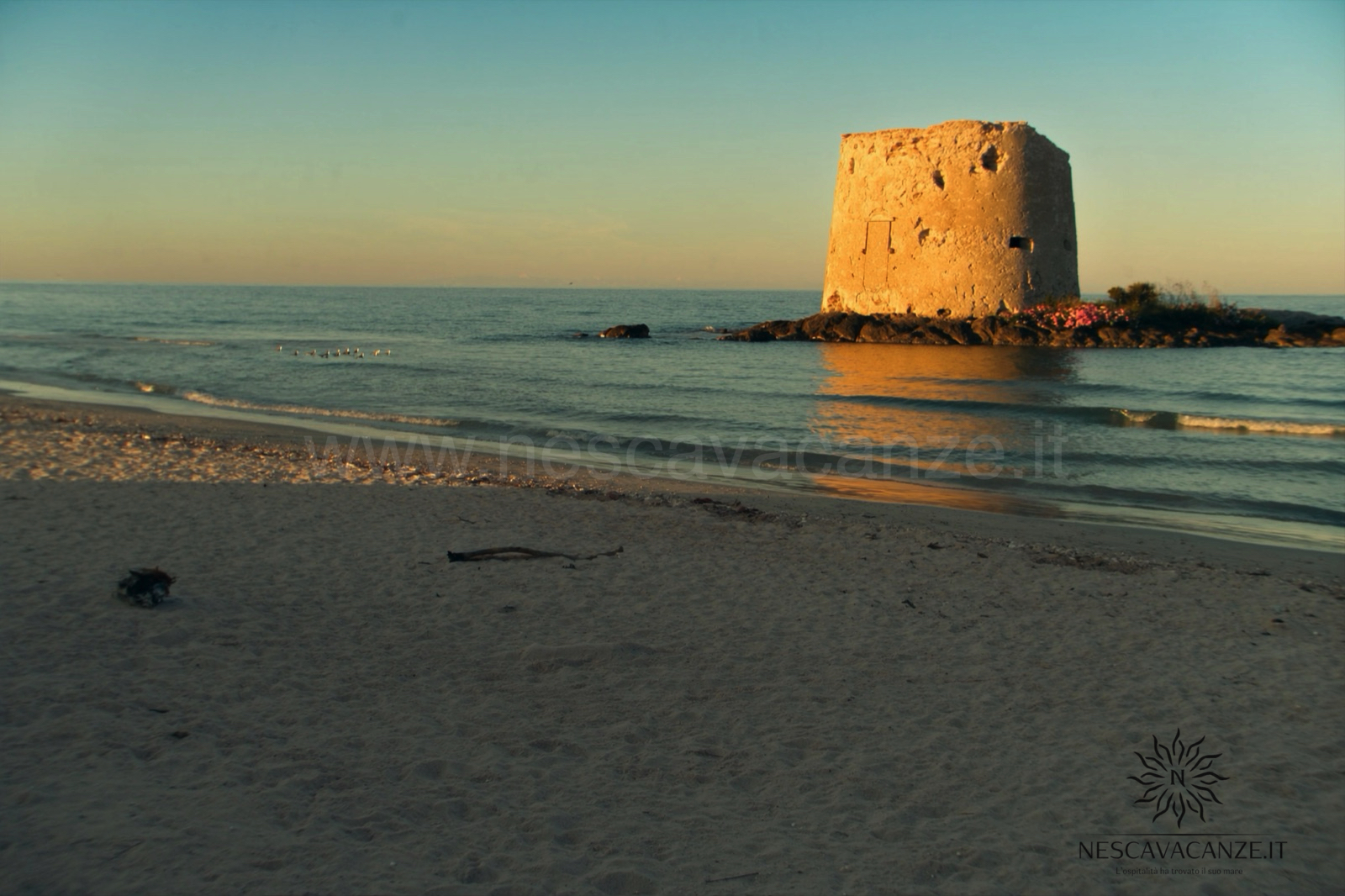 Torre Pali, antica torre costiera del Cinquecento su un isolotto davanti alla spiaggia di Pescoluse al tramonto