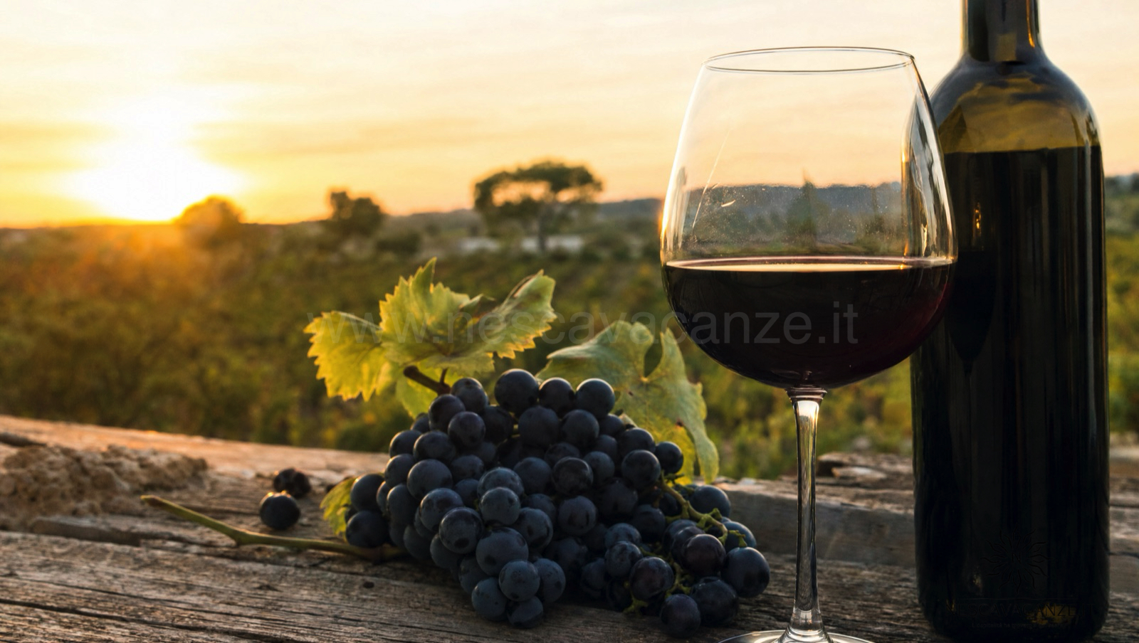 Calice di Negroamaro, vino rosso scuro del Salento, accanto a un grappolo di uva nera matura e a una bottiglia, su un tavolo di legno al tramonto con i vigneti sullo sfondo